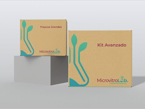 MV_MKP_Kit-Avanzado-y-Frascos_v1