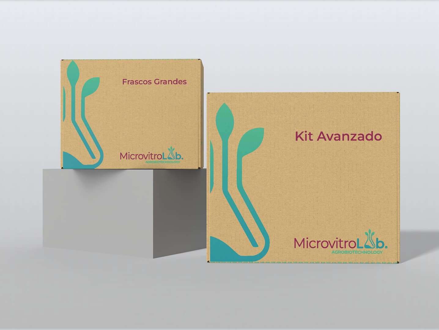 Advanced Kit – Cultivo in vitro