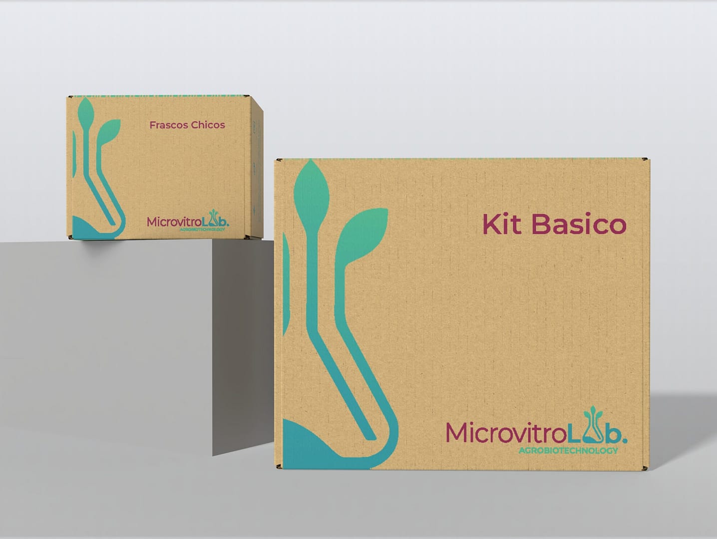 Starter Kit – Cultivo in vitro