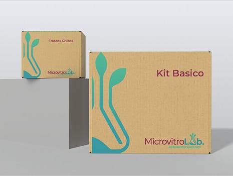 MV_MKP_Kit-Basico-y-Frascos_v1